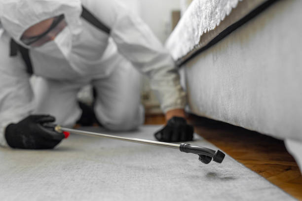 Professional Pest Control technician working in Hall County County, TX